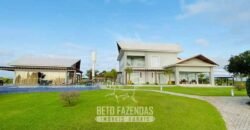 Fazenda à Venda, 6.000 hectares em Nova Olinda do Maranhão – MA Fazenda à Venda, 6.000 hectares em Nova Olinda do Maranhão – MA