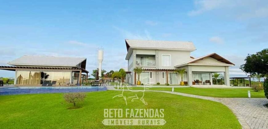 Fazenda à Venda, 6.000 hectares em Nova Olinda do Maranhão – MA Fazenda à Venda, 6.000 hectares em Nova Olinda do Maranhão – MA