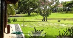 Fazenda à Venda, 6.000 hectares em Nova Olinda do Maranhão – MA Fazenda à Venda, 6.000 hectares em Nova Olinda do Maranhão – MA