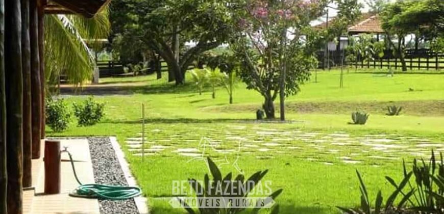 Fazenda à Venda, 6.000 hectares em Nova Olinda do Maranhão – MA Fazenda à Venda, 6.000 hectares em Nova Olinda do Maranhão – MA