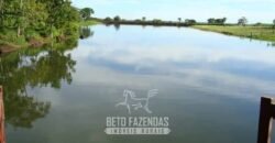 Fazenda à Venda, 6.000 hectares em Nova Olinda do Maranhão – MA Fazenda à Venda, 6.000 hectares em Nova Olinda do Maranhão – MA