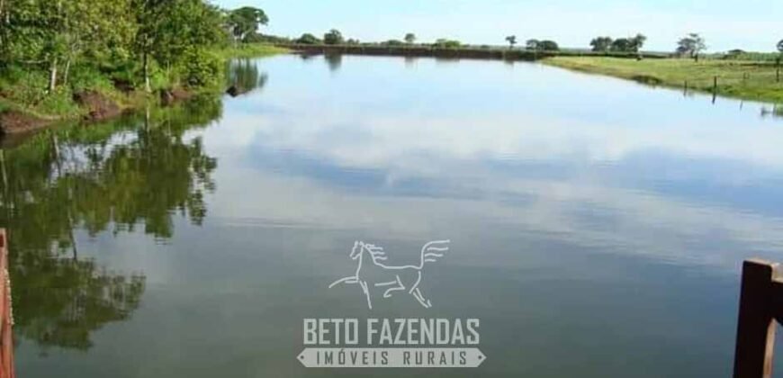 Fazenda à Venda, 6.000 hectares em Nova Olinda do Maranhão – MA Fazenda à Venda, 6.000 hectares em Nova Olinda do Maranhão – MA