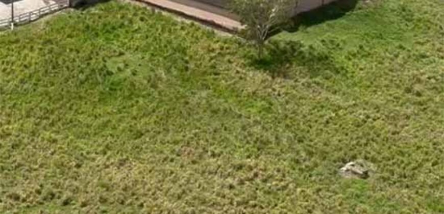 Fazenda à Venda, 6.000 hectares em Nova Olinda do Maranhão – MA Fazenda à Venda, 6.000 hectares em Nova Olinda do Maranhão – MA