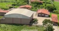 Fazenda à Venda, 6.000 hectares em Nova Olinda do Maranhão – MA Fazenda à Venda, 6.000 hectares em Nova Olinda do Maranhão – MA