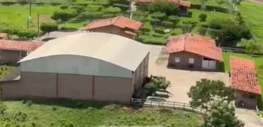 Fazenda à Venda, 6.000 hectares em Nova Olinda do Maranhão – MA Fazenda à Venda, 6.000 hectares em Nova Olinda do Maranhão – MA