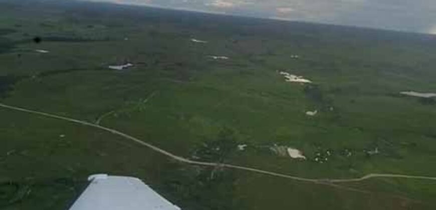 Fazenda à Venda, 6.000 hectares em Nova Olinda do Maranhão – MA Fazenda à Venda, 6.000 hectares em Nova Olinda do Maranhão – MA