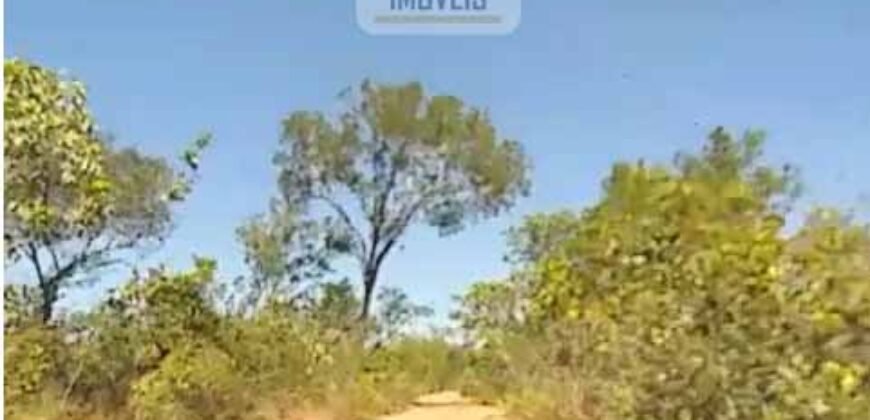 Fazenda toda no cerrado 3.305 Alqueires. em Alto Parnaíba – MA