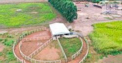 Fazenda à Venda 2618 hectares com plantio e produção ótima localização Alagoinha PI