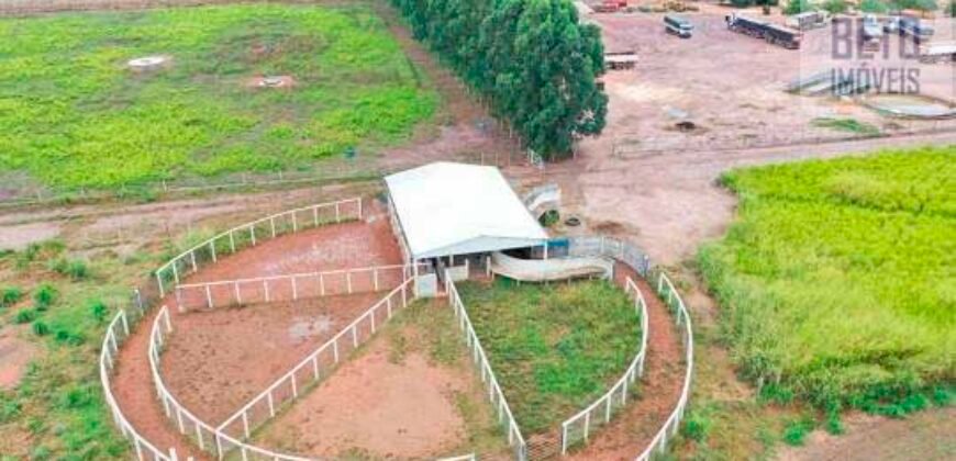 Fazenda à Venda 2618 hectares com plantio e produção ótima localização Alagoinha PI