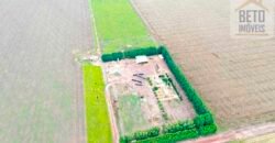 Fazenda à Venda 2618 hectares com plantio e produção ótima localização Alagoinha PI