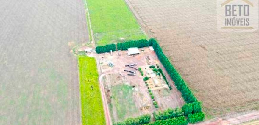 Fazenda à Venda 2618 hectares com plantio e produção ótima localização Alagoinha PI