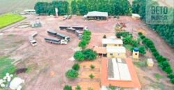 Fazenda à Venda 2618 hectares com plantio e produção ótima localização Alagoinha PI