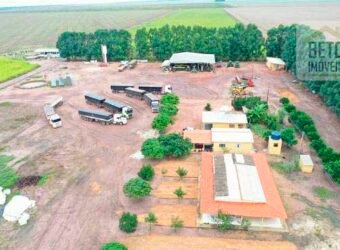 Fazenda à Venda 2618 hectares com plantio e produção ótima localização Alagoinha PI