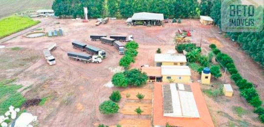 Fazenda à Venda 2618 hectares com plantio e produção ótima localização Alagoinha PI