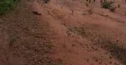 Fazenda toda no cerrado 3.305 Alqueires. em Alto Parnaíba – MA