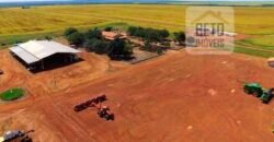 Fazenda com dupla aptidão disponível para venda em Carolina – Maranhão Fazenda com dupla aptidão disponível para venda em Carolina – Maranhão