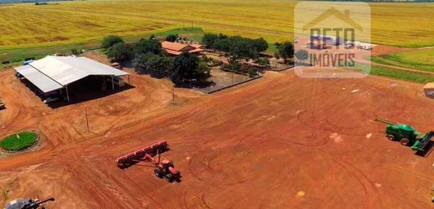Fazenda com dupla aptidão disponível para venda em Carolina – Maranhão Fazenda com dupla aptidão disponível para venda em Carolina – Maranhão