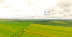 Fazenda com dupla aptidão disponível para venda em Carolina – Maranhão Fazenda com dupla aptidão disponível para venda em Carolina – Maranhão