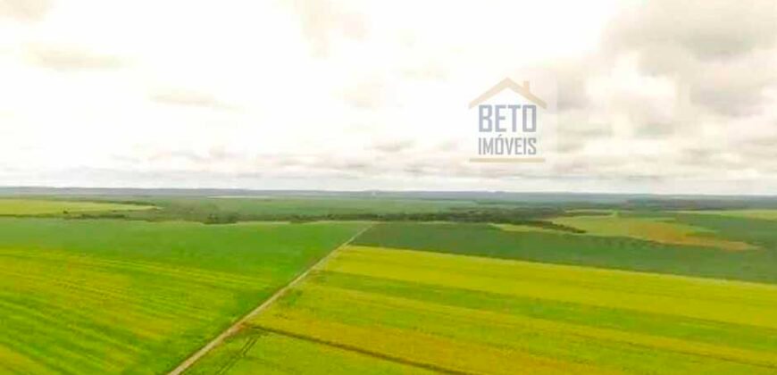 Fazenda com dupla aptidão disponível para venda em Carolina – Maranhão Fazenda com dupla aptidão disponível para venda em Carolina – Maranhão