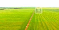 Fazenda com dupla aptidão disponível para venda em Carolina – Maranhão Fazenda com dupla aptidão disponível para venda em Carolina – Maranhão