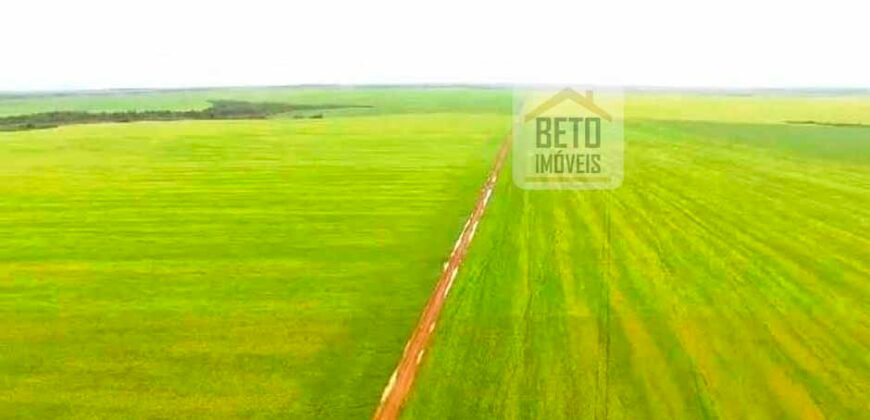 Fazenda com dupla aptidão disponível para venda em Carolina – Maranhão Fazenda com dupla aptidão disponível para venda em Carolina – Maranhão