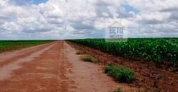Fazenda com dupla aptidão disponível para venda em Carolina – Maranhão Fazenda com dupla aptidão disponível para venda em Carolina – Maranhão