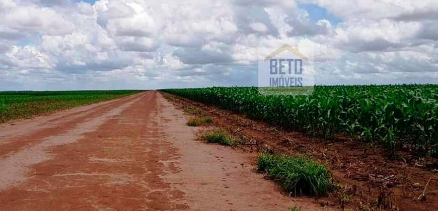 Fazenda com dupla aptidão disponível para venda em Carolina – Maranhão Fazenda com dupla aptidão disponível para venda em Carolina – Maranhão