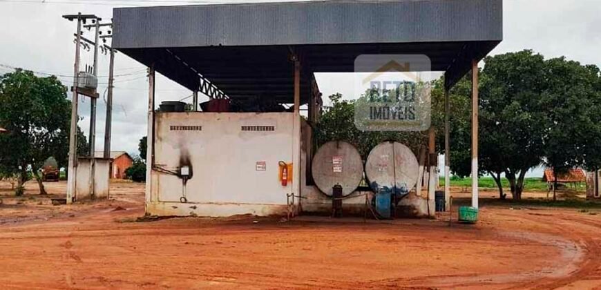 Fazenda com dupla aptidão disponível para venda em Carolina – Maranhão Fazenda com dupla aptidão disponível para venda em Carolina – Maranhão