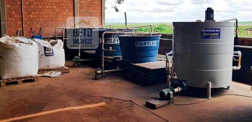 Fazenda com dupla aptidão disponível para venda em Carolina – Maranhão Fazenda com dupla aptidão disponível para venda em Carolina – Maranhão