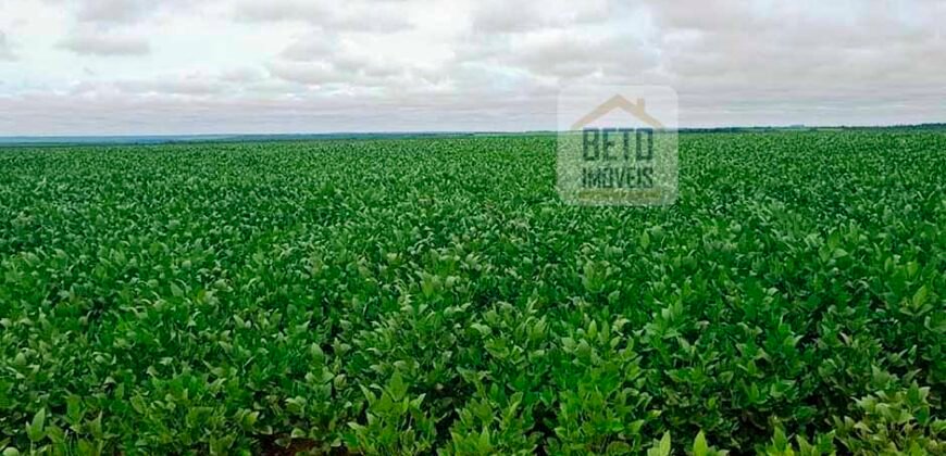 Fazenda com dupla aptidão disponível para venda em Carolina – Maranhão Fazenda com dupla aptidão disponível para venda em Carolina – Maranhão