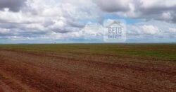 Fazenda com dupla aptidão disponível para venda em Carolina – Maranhão Fazenda com dupla aptidão disponível para venda em Carolina – Maranhão