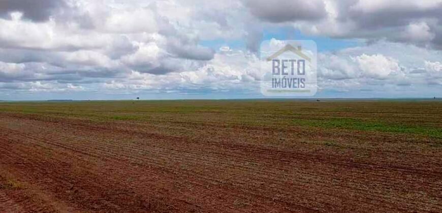 Fazenda com dupla aptidão disponível para venda em Carolina – Maranhão Fazenda com dupla aptidão disponível para venda em Carolina – Maranhão