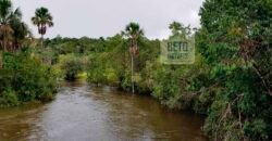 Fazenda com dupla aptidão disponível para venda em Carolina – Maranhão Fazenda com dupla aptidão disponível para venda em Carolina – Maranhão