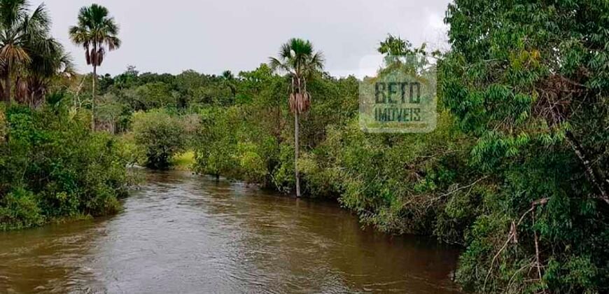 Fazenda com dupla aptidão disponível para venda em Carolina – Maranhão Fazenda com dupla aptidão disponível para venda em Carolina – Maranhão