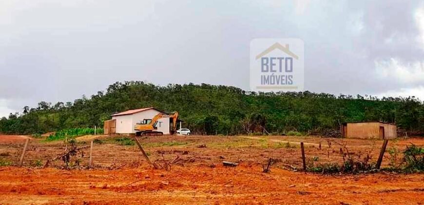 Fazenda com dupla aptidão disponível para venda em Carolina – Maranhão Fazenda com dupla aptidão disponível para venda em Carolina – Maranhão