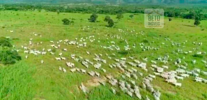 Fazenda à Venda, 1.800 Alqueires em Alvorada do Norte – GO