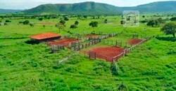 Fazenda à Venda, 1.800 Alqueires em Alvorada do Norte – GO