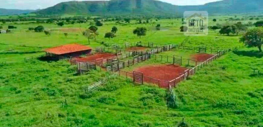 Fazenda à Venda, 1.800 Alqueires em Alvorada do Norte – GO