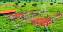 Fazenda à Venda, 1.800 Alqueires em Alvorada do Norte – GO