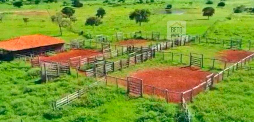 Fazenda à Venda, 1.800 Alqueires em Alvorada do Norte – GO