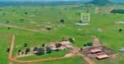 Fazenda à Venda, 1.800 Alqueires em Alvorada do Norte – GO