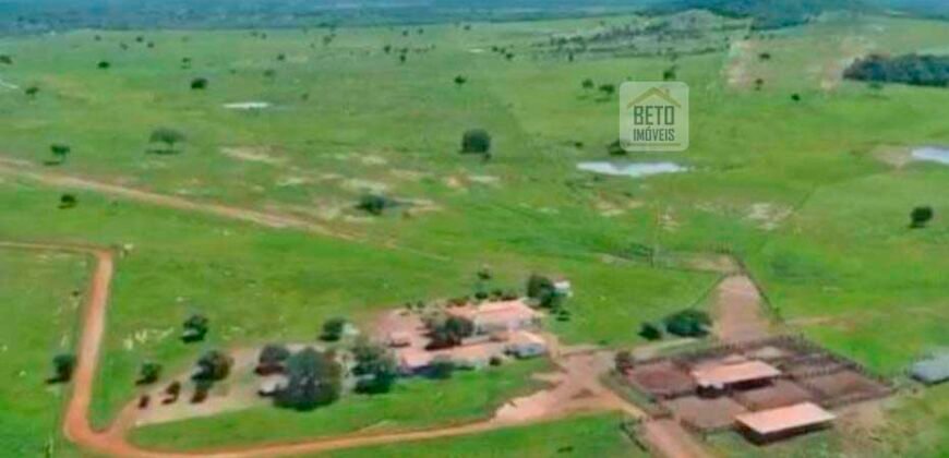 Fazenda à Venda, 1.800 Alqueires em Alvorada do Norte – GO