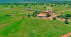 Fazenda à Venda, 1.800 Alqueires em Alvorada do Norte – GO