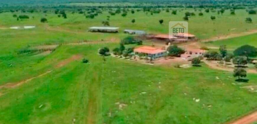 Fazenda à Venda, 1.800 Alqueires em Alvorada do Norte – GO