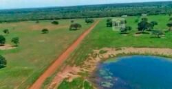 Fazenda à Venda, 1.800 Alqueires em Alvorada do Norte – GO