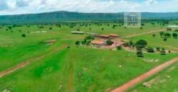 Fazenda à Venda, 1.800 Alqueires em Alvorada do Norte – GO