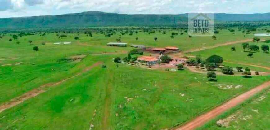 Fazenda à Venda, 1.800 Alqueires em Alvorada do Norte – GO