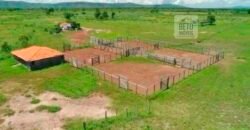 Fazenda à Venda, 1.800 Alqueires em Alvorada do Norte – GO