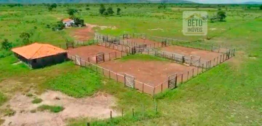 Fazenda à Venda, 1.800 Alqueires em Alvorada do Norte – GO