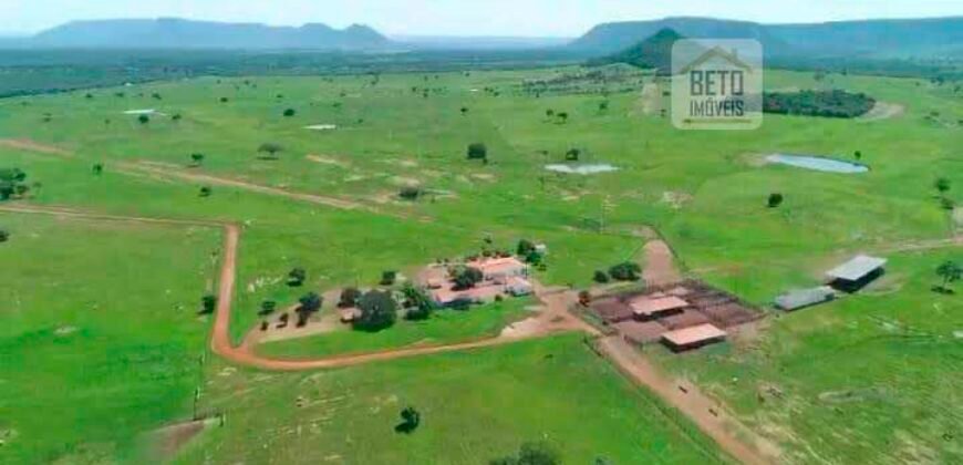 Fazenda à Venda, 1.800 Alqueires em Alvorada do Norte – GO